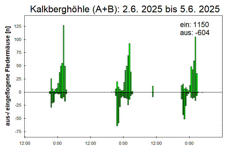 [Fledermaus] Lichtschranke: Segeberger Kalkberg (NABU Schleswig-Holstein)