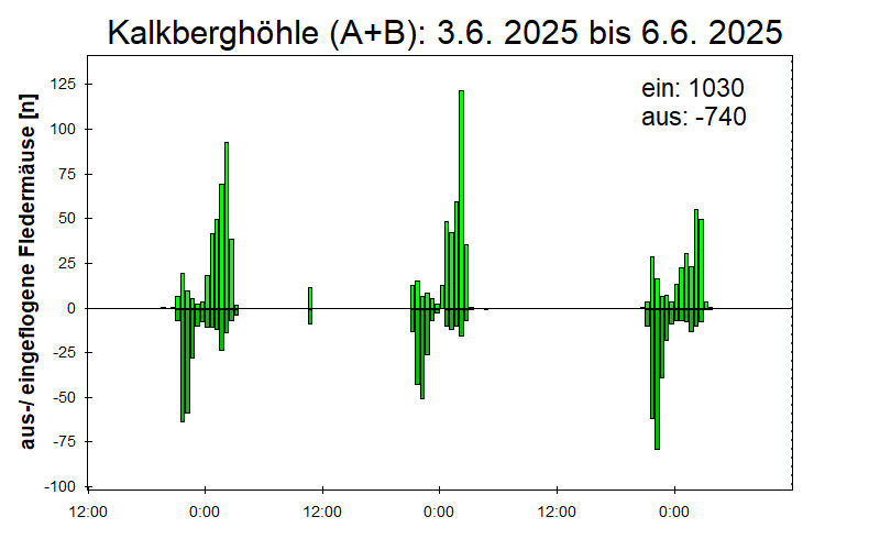 [Fledermaus] Lichtschranke: Segeberger Kalkberg (NABU Schleswig-Holstein)