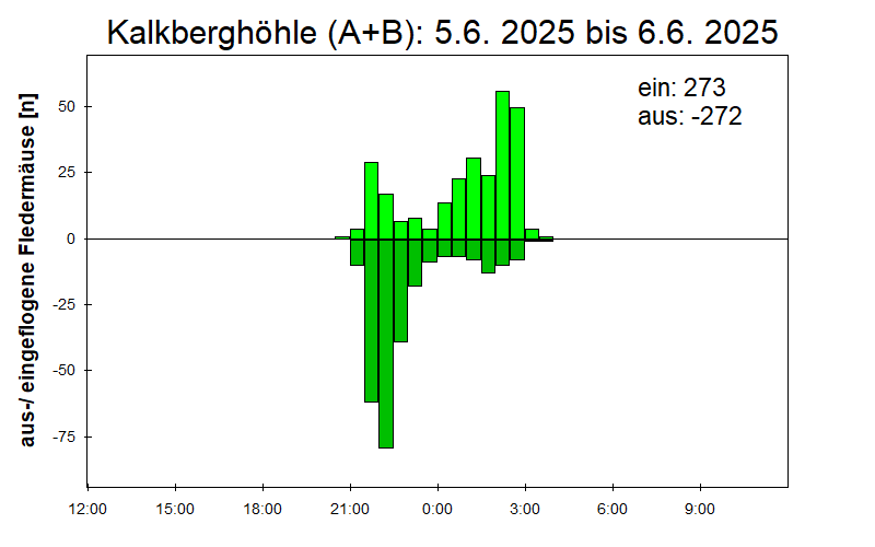[Fledermaus] Lichtschranke: Segeberger Kalkberg (NABU Schleswig-Holstein)