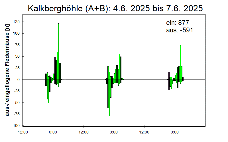 [Fledermaus] Lichtschranke: Segeberger Kalkberg (NABU Schleswig-Holstein)