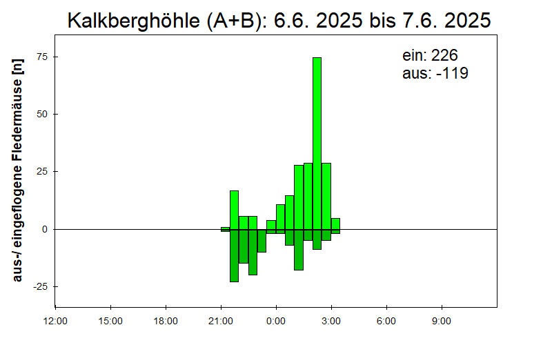[Fledermaus] Lichtschranke: Segeberger Kalkberg (NABU Schleswig-Holstein)