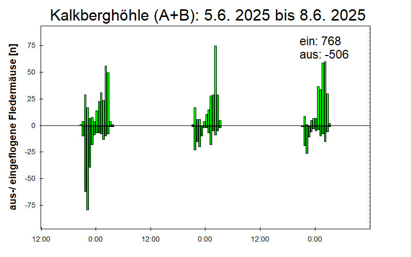 [Fledermaus] Lichtschranke: Segeberger Kalkberg (NABU Schleswig-Holstein)