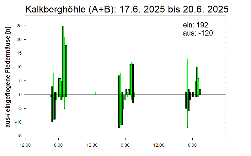 [Fledermaus] Lichtschranke: Segeberger Kalkberg (NABU Schleswig-Holstein)