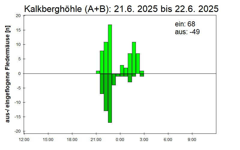 [Fledermaus] Lichtschranke: Segeberger Kalkberg (NABU Schleswig-Holstein)