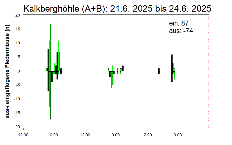 [Fledermaus] Lichtschranke: Segeberger Kalkberg (NABU Schleswig-Holstein)
