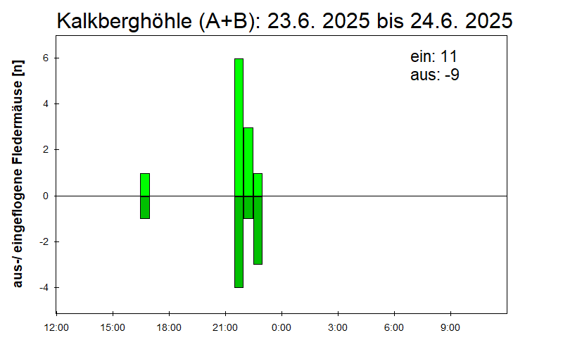 [Fledermaus] Lichtschranke: Segeberger Kalkberg (NABU Schleswig-Holstein)