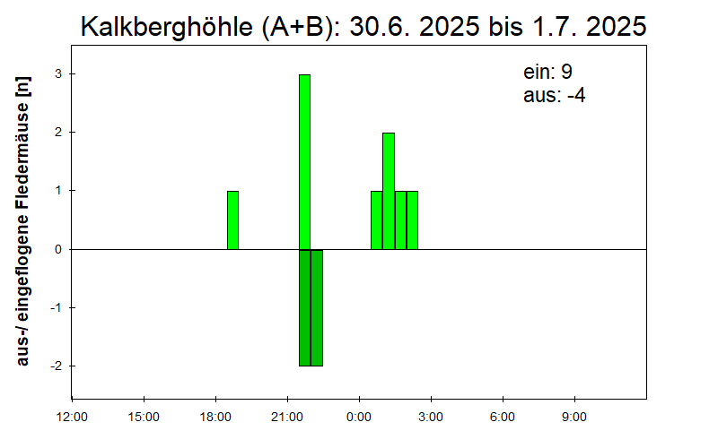[Fledermaus] Lichtschranke: Segeberger Kalkberg (NABU Schleswig-Holstein)