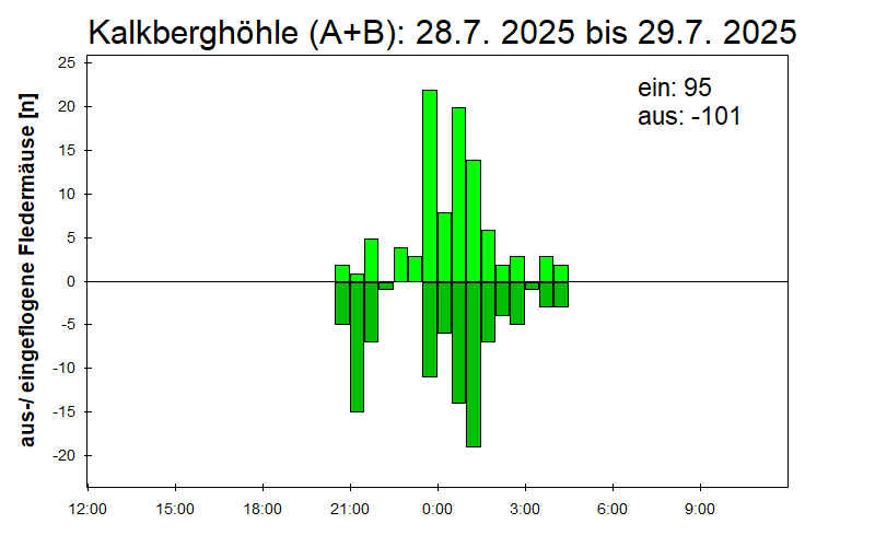 [Fledermaus] Lichtschranke: Segeberger Kalkberg (NABU Schleswig-Holstein)