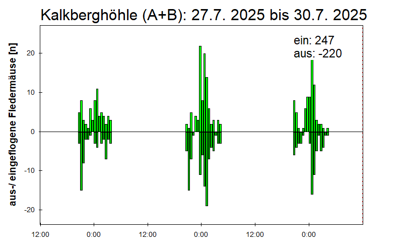 [Fledermaus] Lichtschranke: Segeberger Kalkberg (NABU Schleswig-Holstein)