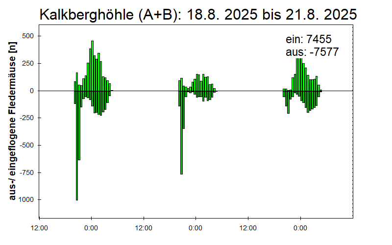 [Fledermaus] Lichtschranke: Segeberger Kalkberg (NABU Schleswig-Holstein)