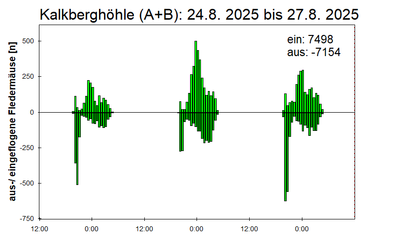 [Fledermaus] Lichtschranke: Segeberger Kalkberg (NABU Schleswig-Holstein)