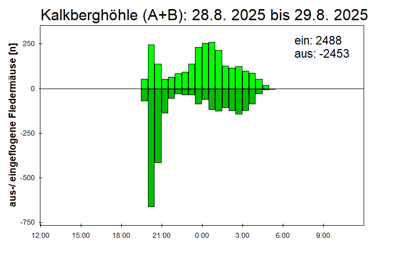 [Fledermaus] Lichtschranke: Segeberger Kalkberg (NABU Schleswig-Holstein)