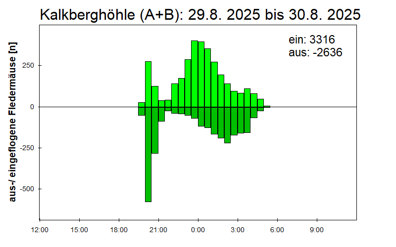 [Fledermaus] Lichtschranke: Segeberger Kalkberg (NABU Schleswig-Holstein)