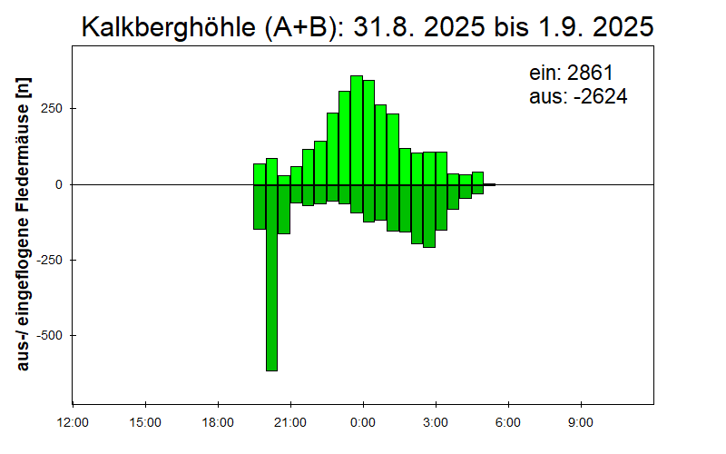[Fledermaus] Lichtschranke: Segeberger Kalkberg (NABU Schleswig-Holstein)