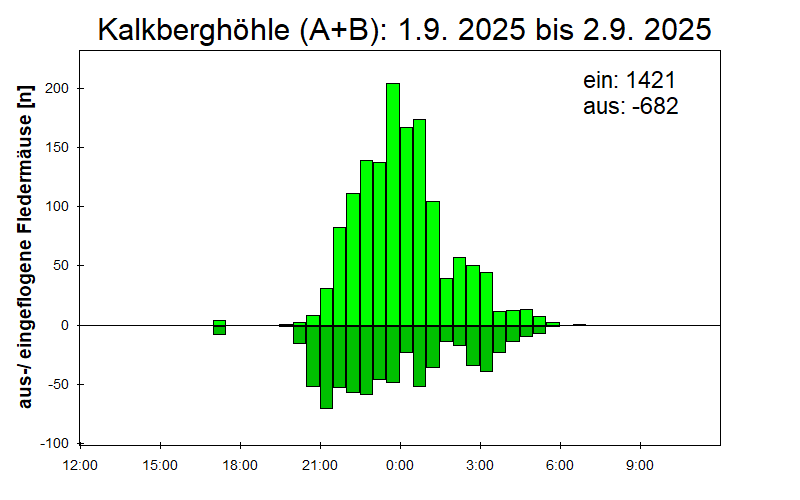 [Fledermaus] Lichtschranke: Segeberger Kalkberg (NABU Schleswig-Holstein)