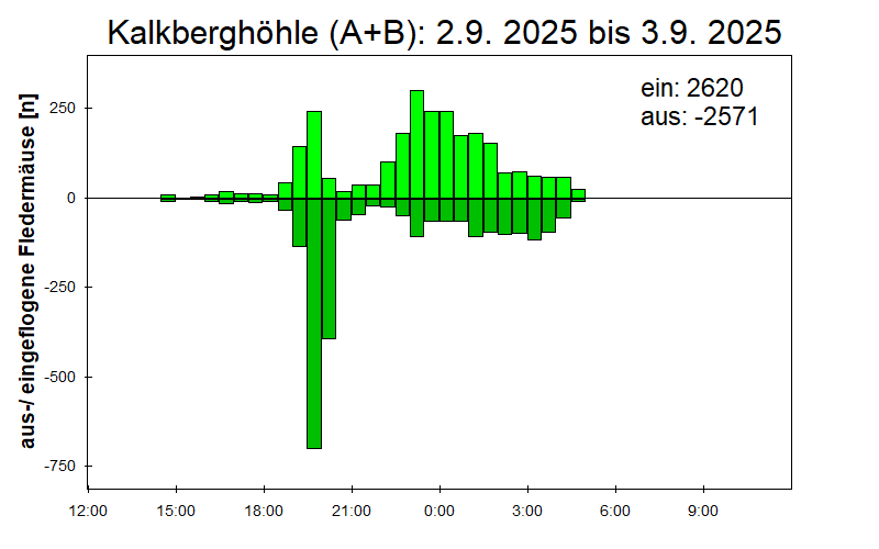 [Fledermaus] Lichtschranke: Segeberger Kalkberg (NABU Schleswig-Holstein)
