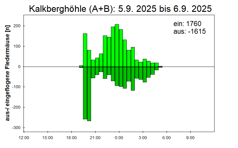 [Fledermaus] Lichtschranke: Segeberger Kalkberg (NABU Schleswig-Holstein)