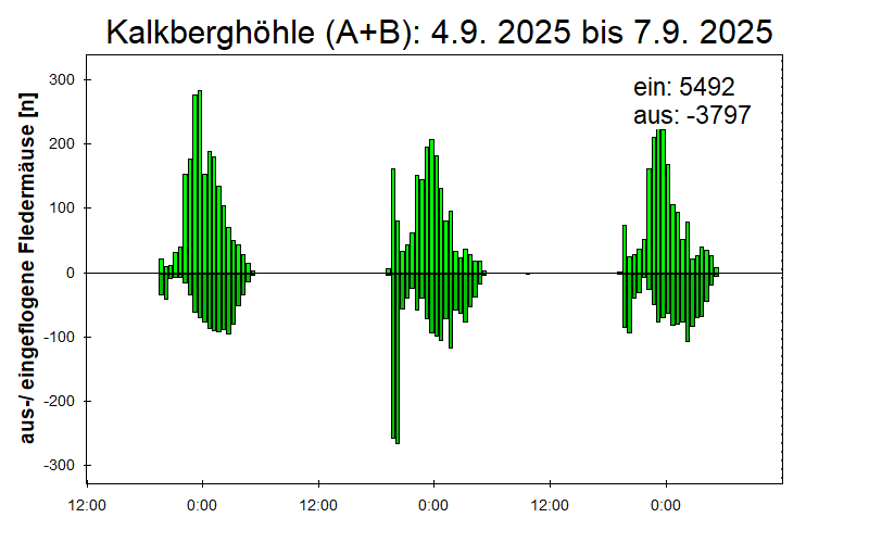 [Fledermaus] Lichtschranke: Segeberger Kalkberg (NABU Schleswig-Holstein)