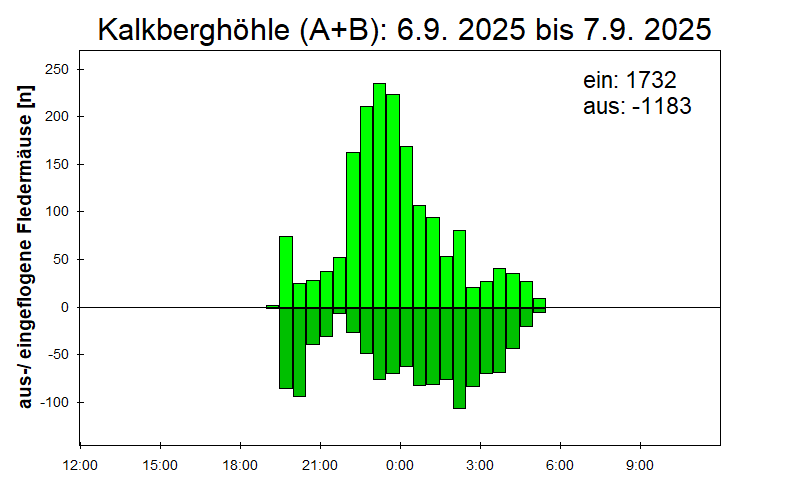 [Fledermaus] Lichtschranke: Segeberger Kalkberg (NABU Schleswig-Holstein)