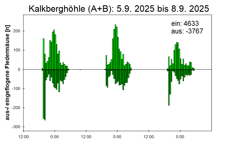 [Fledermaus] Lichtschranke: Segeberger Kalkberg (NABU Schleswig-Holstein)