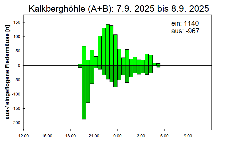 [Fledermaus] Lichtschranke: Segeberger Kalkberg (NABU Schleswig-Holstein)