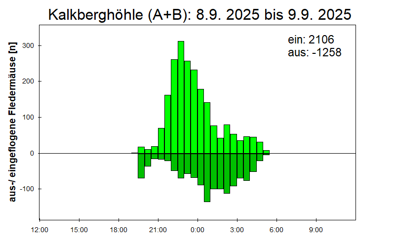 [Fledermaus] Lichtschranke: Segeberger Kalkberg (NABU Schleswig-Holstein)