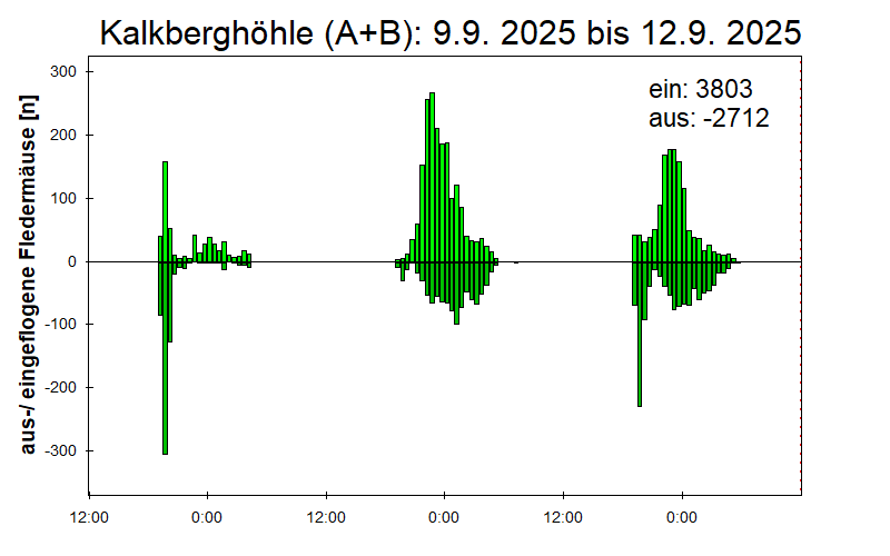 [Fledermaus] Lichtschranke: Segeberger Kalkberg (NABU Schleswig-Holstein)