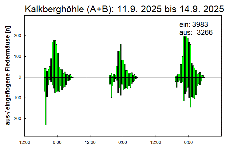 [Fledermaus] Lichtschranke: Segeberger Kalkberg (NABU Schleswig-Holstein)