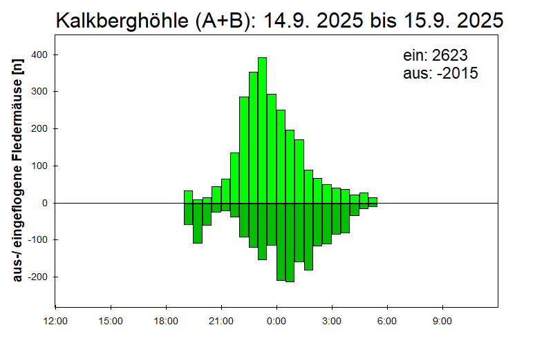 [Fledermaus] Lichtschranke: Segeberger Kalkberg (NABU Schleswig-Holstein)