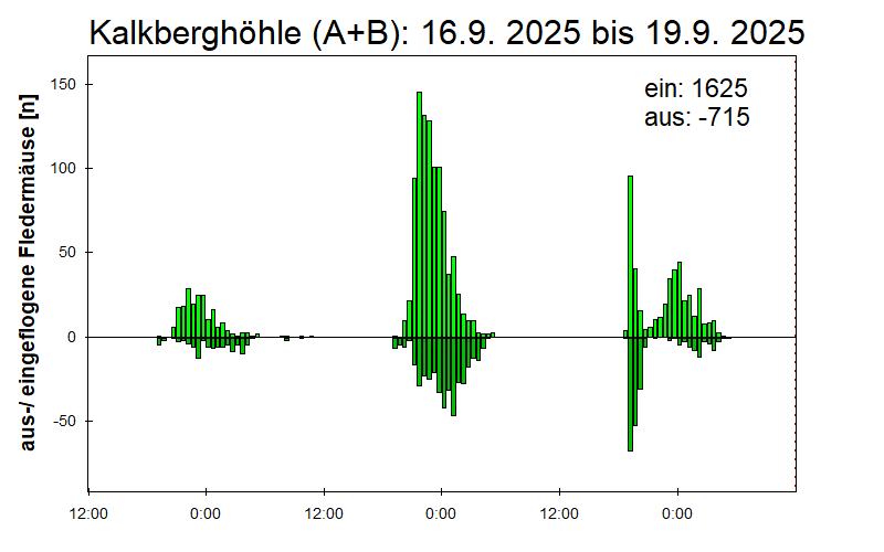 [Fledermaus] Lichtschranke: Segeberger Kalkberg (NABU Schleswig-Holstein)