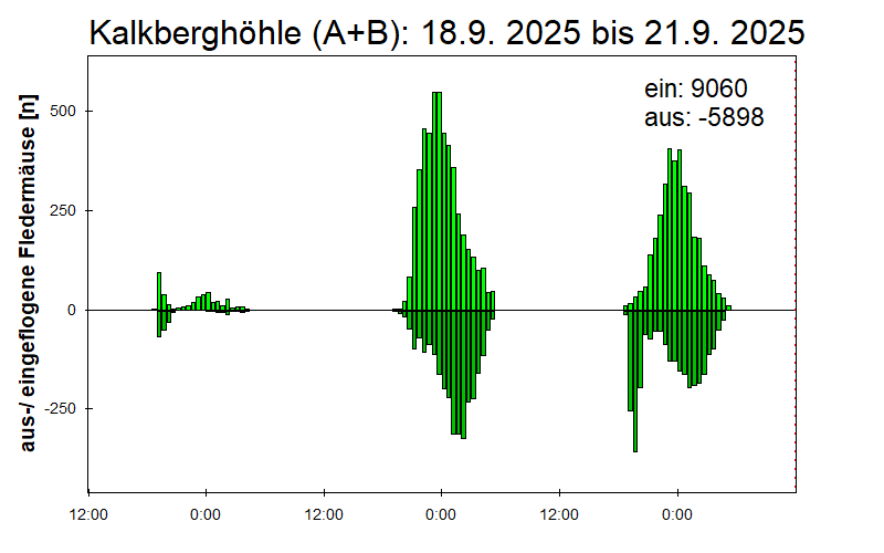 [Fledermaus] Lichtschranke: Segeberger Kalkberg (NABU Schleswig-Holstein)