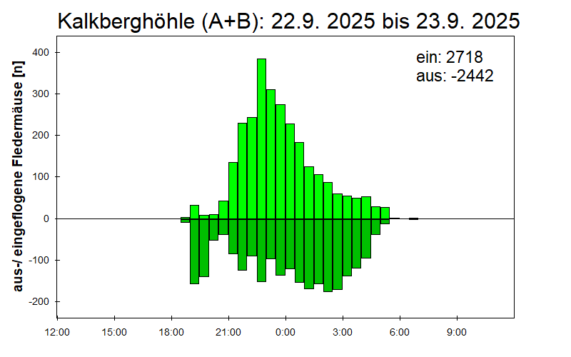 [Fledermaus] Lichtschranke: Segeberger Kalkberg (NABU Schleswig-Holstein)