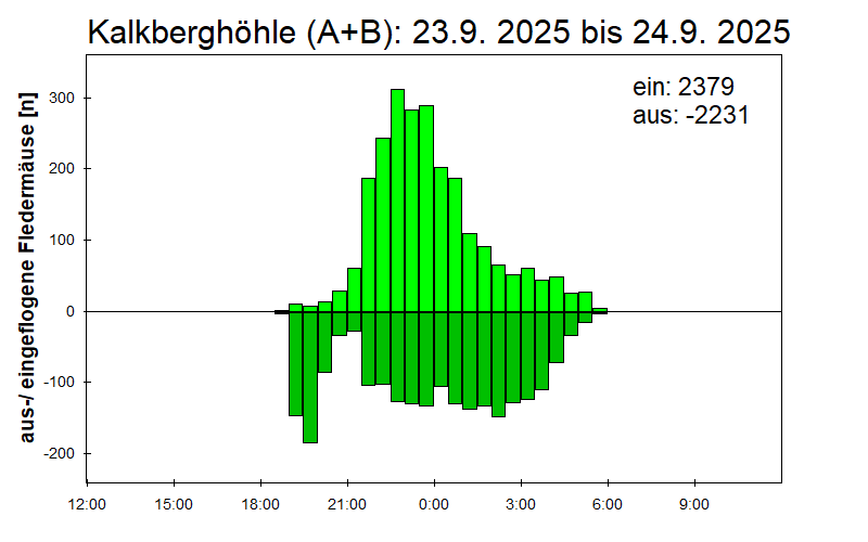 [Fledermaus] Lichtschranke: Segeberger Kalkberg (NABU Schleswig-Holstein)