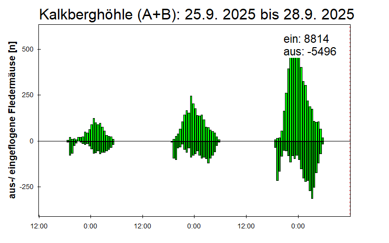 [Fledermaus] Lichtschranke: Segeberger Kalkberg (NABU Schleswig-Holstein)