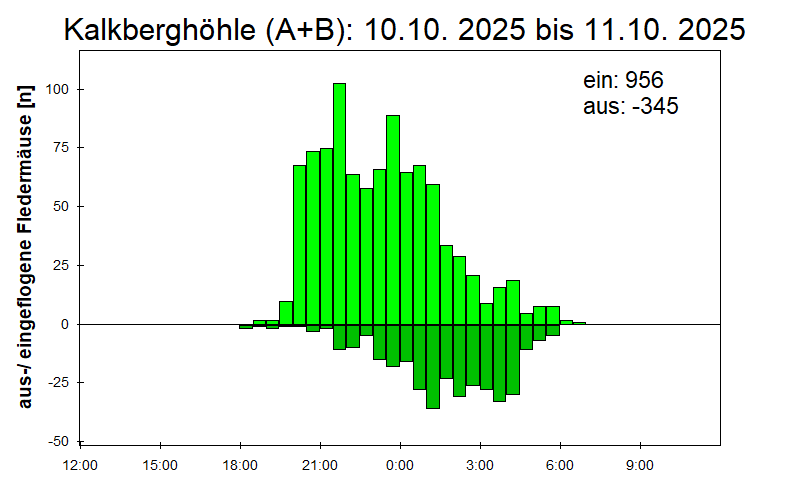 [Fledermaus] Lichtschranke: Segeberger Kalkberg (NABU Schleswig-Holstein)