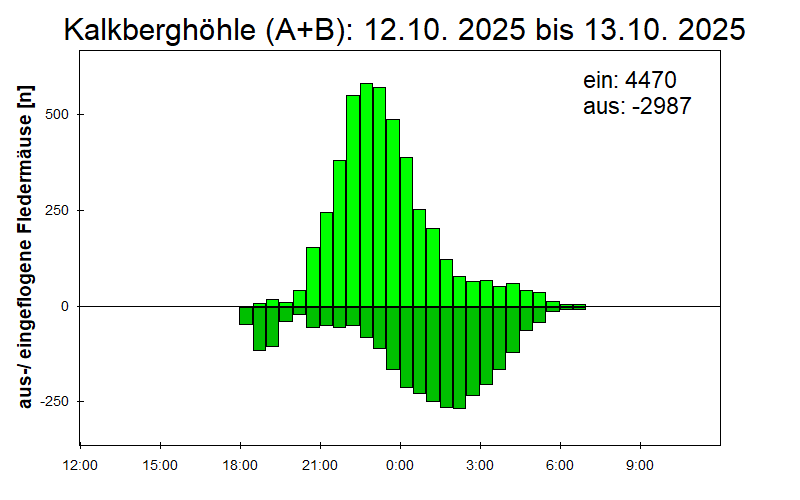 [Fledermaus] Lichtschranke: Segeberger Kalkberg (NABU Schleswig-Holstein)