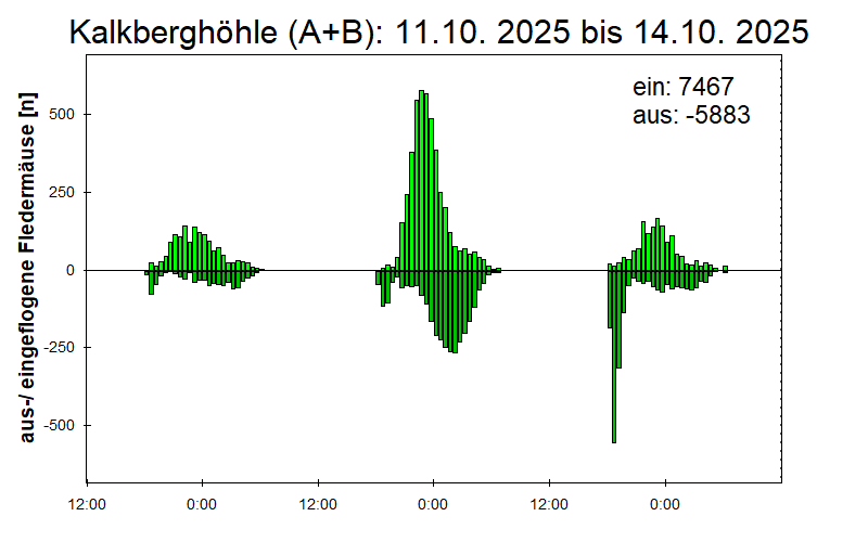 [Fledermaus] Lichtschranke: Segeberger Kalkberg (NABU Schleswig-Holstein)