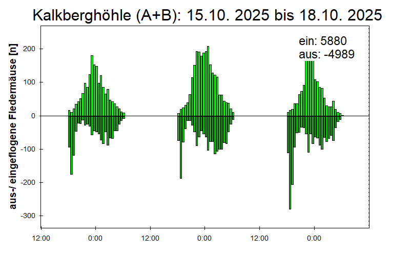 [Fledermaus] Lichtschranke: Segeberger Kalkberg (NABU Schleswig-Holstein)