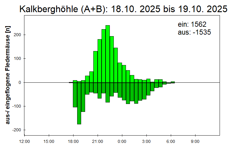 [Fledermaus] Lichtschranke: Segeberger Kalkberg (NABU Schleswig-Holstein)
