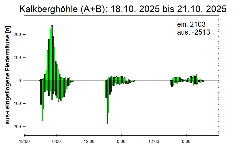 [Fledermaus] Lichtschranke: Segeberger Kalkberg (NABU Schleswig-Holstein)