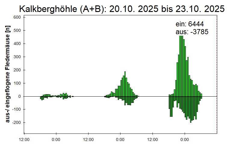 [Fledermaus] Lichtschranke: Segeberger Kalkberg (NABU Schleswig-Holstein)