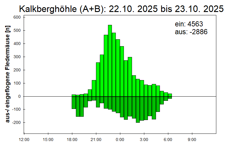 [Fledermaus] Lichtschranke: Segeberger Kalkberg (NABU Schleswig-Holstein)