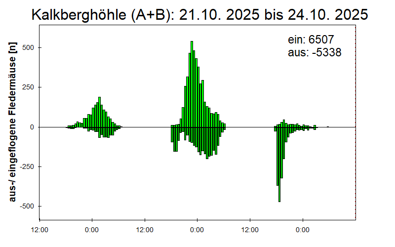 [Fledermaus] Lichtschranke: Segeberger Kalkberg (NABU Schleswig-Holstein)