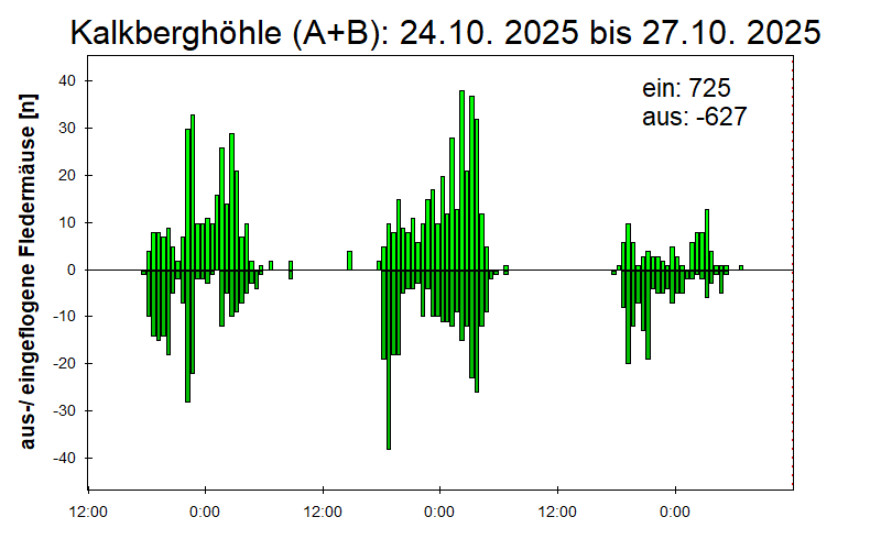 [Fledermaus] Lichtschranke: Segeberger Kalkberg (NABU Schleswig-Holstein)