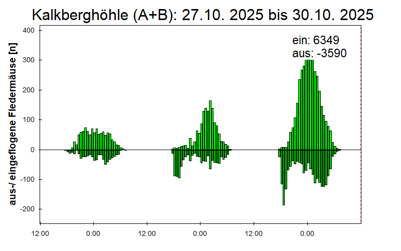 [Fledermaus] Lichtschranke: Segeberger Kalkberg (NABU Schleswig-Holstein)