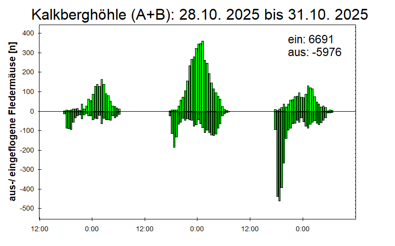 [Fledermaus] Lichtschranke: Segeberger Kalkberg (NABU Schleswig-Holstein)