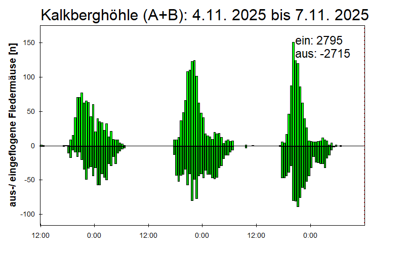 [Fledermaus] Lichtschranke: Segeberger Kalkberg (NABU Schleswig-Holstein)