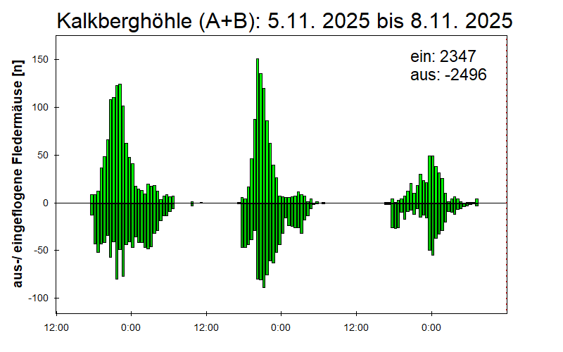 [Fledermaus] Lichtschranke: Segeberger Kalkberg (NABU Schleswig-Holstein)