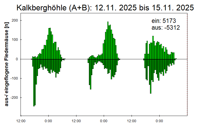 [Fledermaus] Lichtschranke: Segeberger Kalkberg (NABU Schleswig-Holstein)