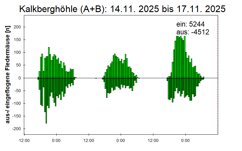 [Fledermaus] Lichtschranke: Segeberger Kalkberg (NABU Schleswig-Holstein)